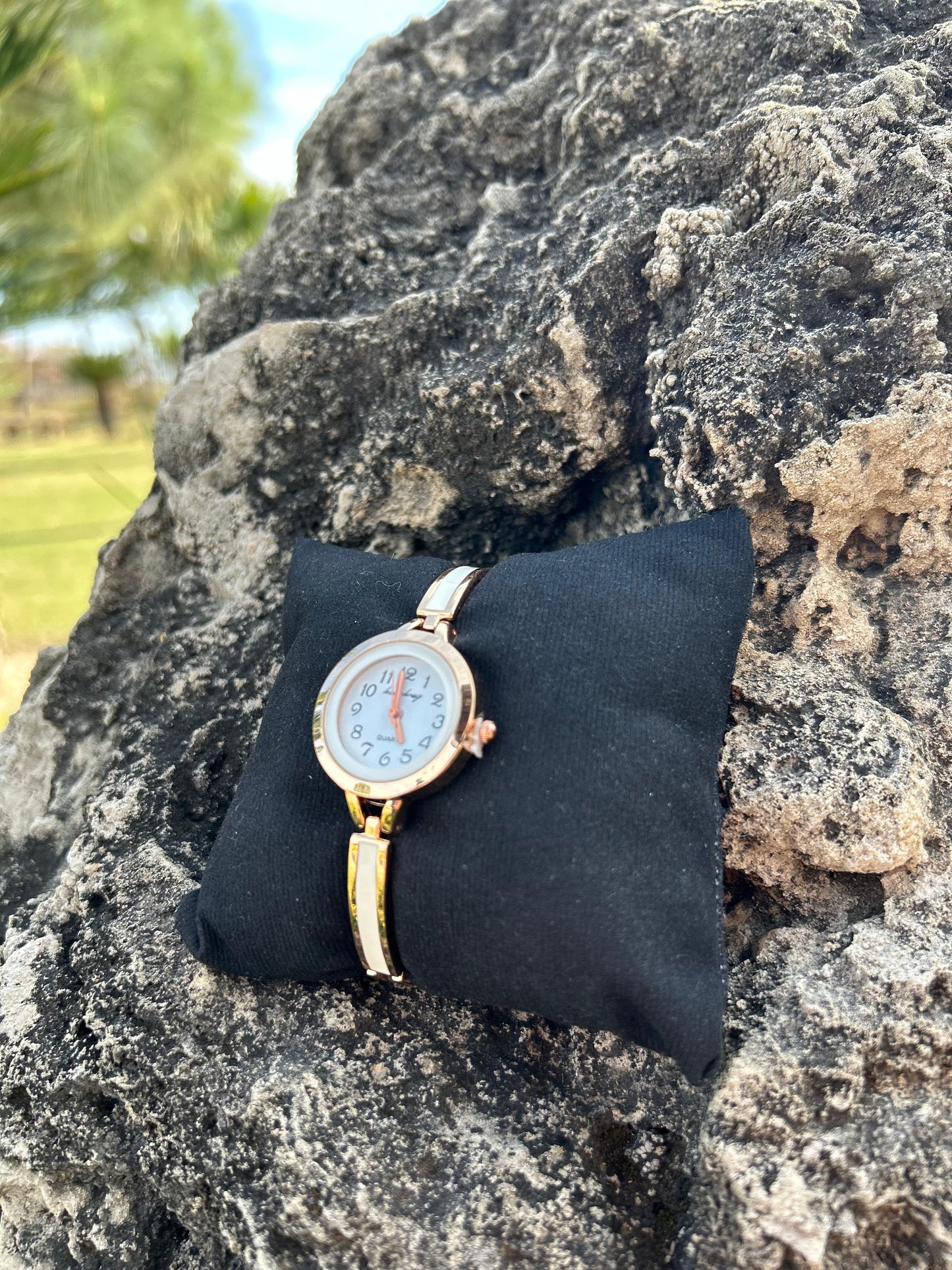 Women's Modern Waterproof Watches with Chic Styling